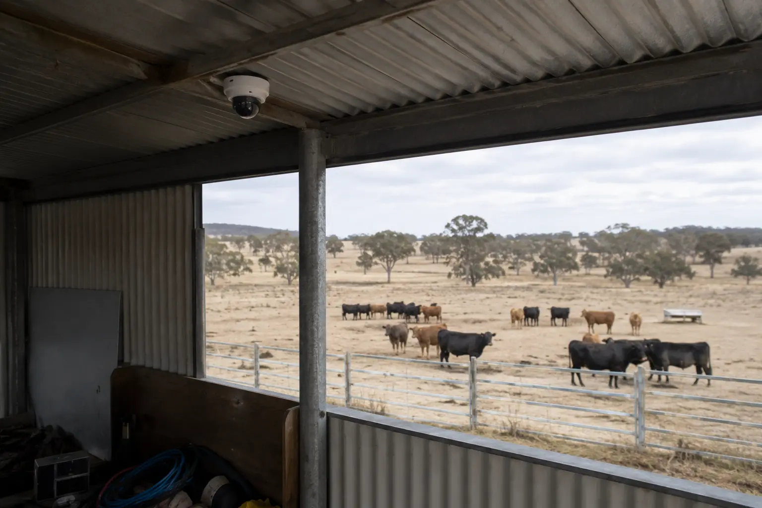 Rural Properties